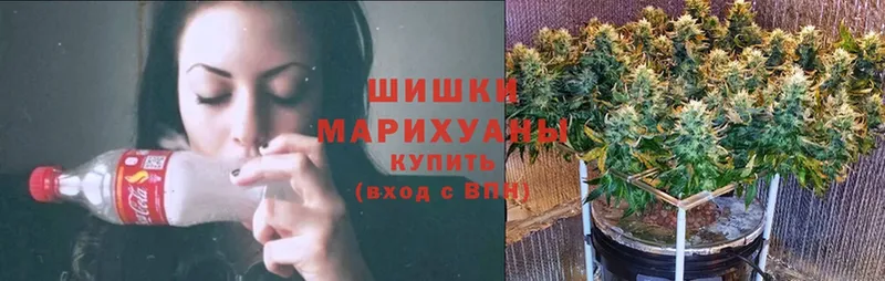 Шишки марихуана OG Kush  купить наркотики сайты  Ртищево 